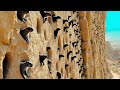 They Released Hundreds of Beavers to the Idaho Desert With No Water, and What They Did Was Insane
