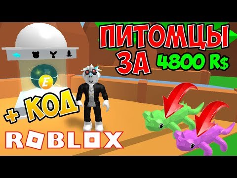 4800 РОБУКСОВ ЗА ПИТОМЦА! КОДЫ В СИМУЛЯТОР ТРЕНИРОВКИ ПИТОМЦЕВ! PET TRAINER ROBLOX