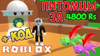 Simulyator Trenirovki Pitomcev Robzi Kody Thá»§ Thuáº­t May Tinh Chia - 4800 robuksov za pitomca kody v simulyator trenirovki pitomcev pet trainer roblox