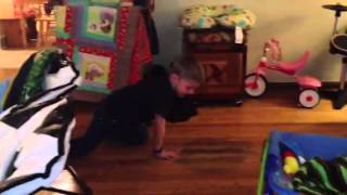 Dog laser for my 4 year old