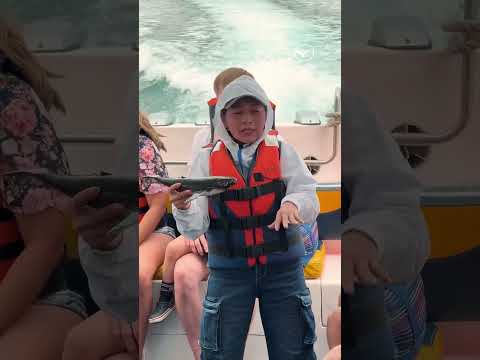 Las ballenas ya están en Santa Elena