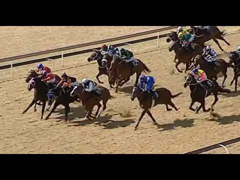 AL QAQAA - Turffontein 15 August 2020