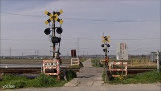 preview picture of video '【JR東日本】久留里線の踏切(のどかな風景) Japanese Railroad crossing.Kururi Line'