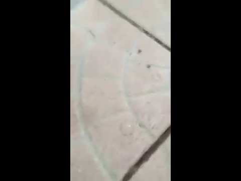 Unwetter in Bretten 06.06.15 Großhagel fällt vom Himmel