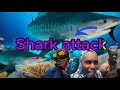 20 feet Tiger Shark Attack Fisherman caught on camera + Under Water Documentary With Chiney man