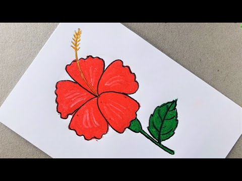 How to Draw Hibiscus flower | Joba Ful Akanor Koushol