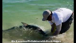 preview picture of video '65 kilo Tarpon caught flyfishing in Rio Lagartos,Yucatan on June 22nd,2010'