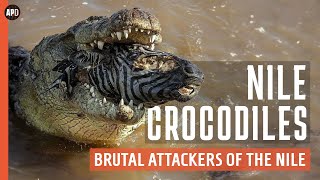 NILE CROCODILES - BRUTAL Attackers of the Nile