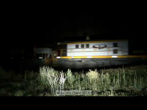 Train 3960 (QUBE) Merriwagga - illawarra via Yanco 19-1-2017 Part 2