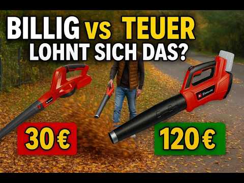 Cordless Leaf Blower Test: Einhell GP-LB 36/210 vs. Einhell GC-CL18 Li - Cheap vs. Expensive? Is ...