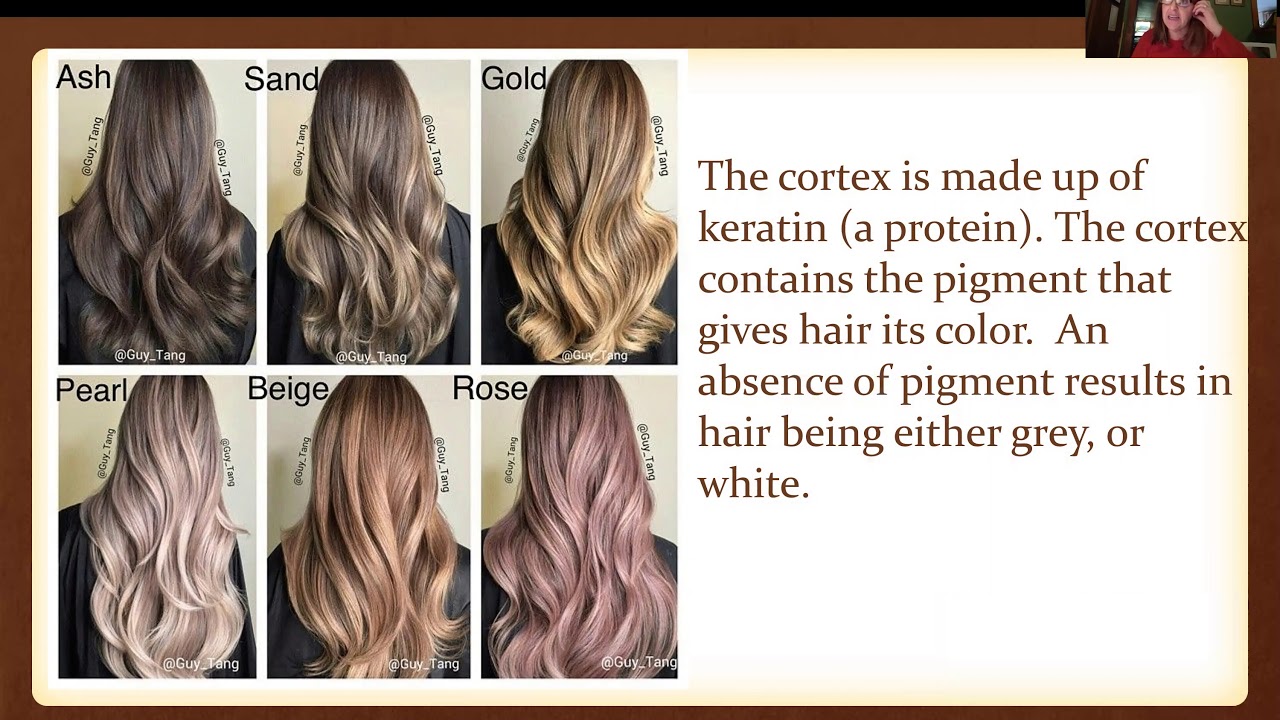 Forensics Hair ppt