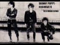 Skinny Puppy - Assimilate (Red Union Remix ...