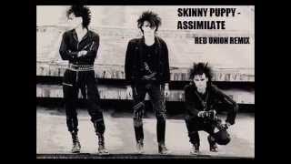 Skinny Puppy - Assimilate (Red Union Remix)