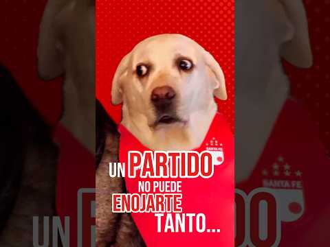 ¿Cómo es que saca a Frasica, el único que corre, y deja a Palacios? #HopperAndres #YouTube #SantaFe