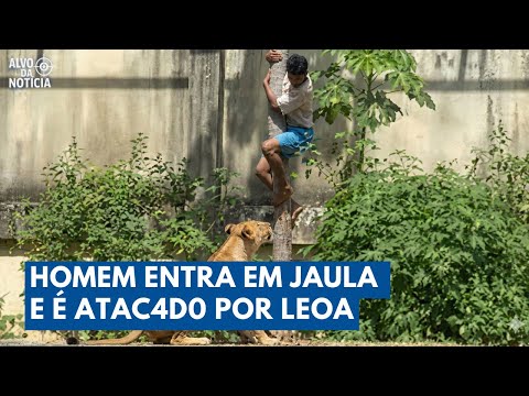 Jovem entra em JAULA de LEOA e Tragédia mobiliza João Pessoa | Alvo da Notícia