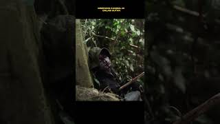 Download lagu seorang pria yang diserang kanibal, alur cerita film mp3