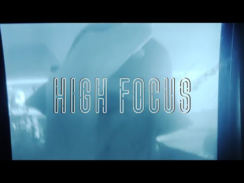 Kállι - High Focus Freestyle (Visualiser)