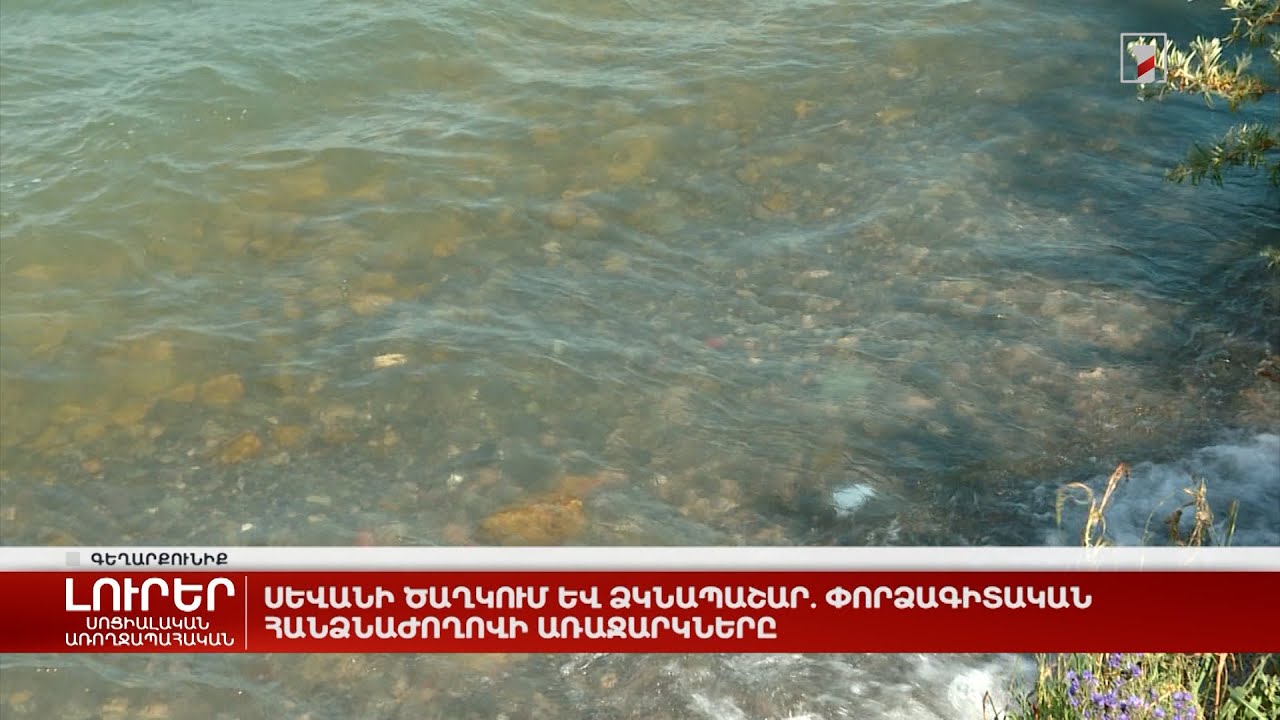 Սևանի ծաղկում և ձկնապաշար. փորձագիտական հանձնաժողովի առաջարկները
