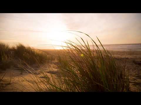 Luvmac - Embracement