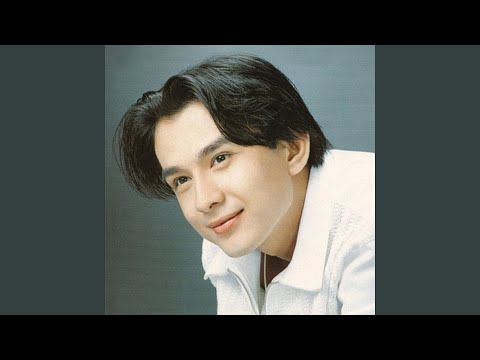 Tình vỗ cánh bay (Quá mềm lòng – Xīn tài ruǎn - 心太软) - Đan Trường