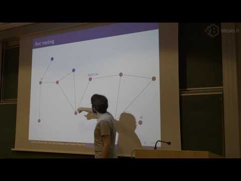 Estimating the capacity of the ant routing algorithm for the Bitcoin lightning network