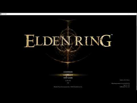 Elden Ring Debug Tool Not Opening