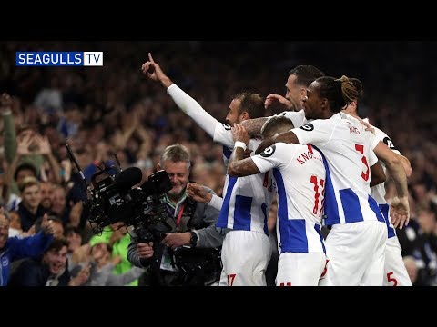 BRIGHTON & HOVE ALBION 1 WOLVERHAMPTON WANDERERS 0