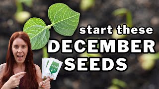 Starting Seeds in December? Do THIS or You’ll Regret It…
