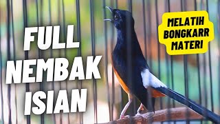 Download lagu MURAI BATU GACOR FULL ISIAN TEMBAKAN KASAR MEWAH SANGAT AMPUH MELATIH MURAI BATU EMOSI BONGKAR ISIAN mp3