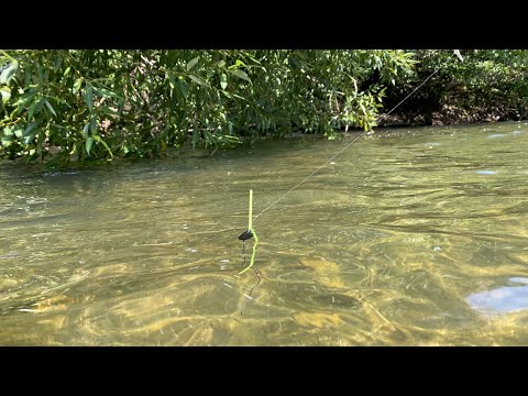 Pecanje Klena i Skobalja na plovak-RIBOLOV NA TRAVU-Nisava