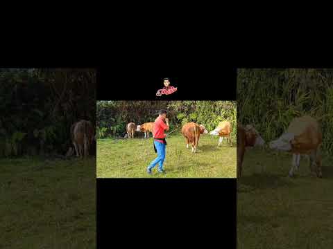 Utcubamba Amazonas #ElPaisita