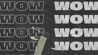 Tiësto - WOW (Extended Mix)