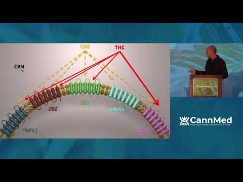 Keynote: From the patient to the petri dish and back, a glimpse to the future of medical cannabis