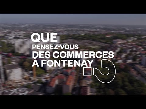 Que pensez-vous des commerces à Fontenay ?