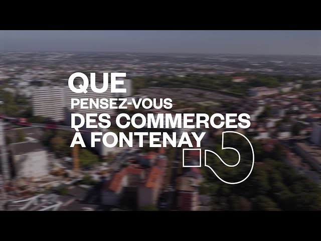 Que pensez-vous des commerces à Fontenay ?