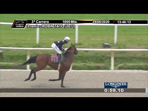 29/08/2020 – Hipodromo Maroñas – Carr 3 – ROBIN TATO (2012)