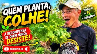 QUEM PLANTA, COLHE! 🌱🙏 A RECOMPENSA DE QUEM NUNCA DESISTE