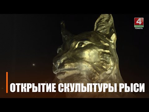 Ко дню рождения Гомеля на въезде в город открыли скульптуру рыси видео