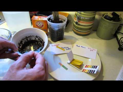 How to Use pH Litmus Strips to Measure pH in Vegetable Garden Soil - The Rusted Garden 2013