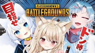 【 PUBG 】昼活♡ 目指せドン勝♡ うに視点！！！！【 狼森うに / 狼森ぱすた / 潮江いさみ / Vtuber 】