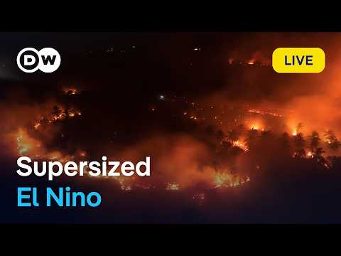 Live: World Meteorological Organization's El Nino update | DW News
