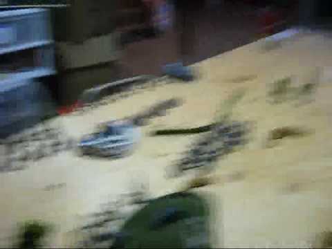 Ork vs Imperial Guard battle report part 1 notrep