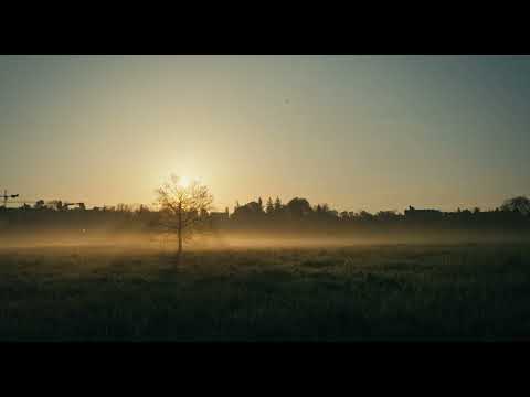 Trailer | Common Ground | Jonathan Jäggi