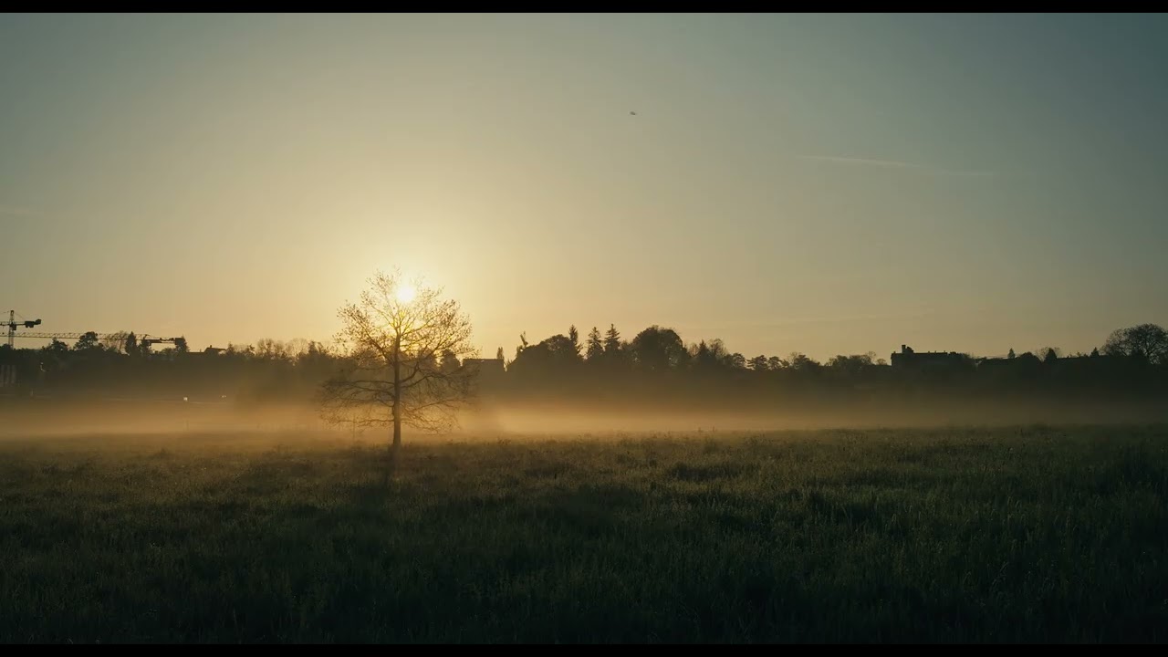 Common Ground — Official Trailer