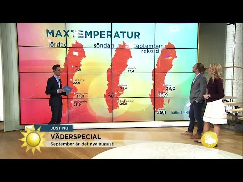 September - det nya augusti? - Nyhetsmorgon (TV4)