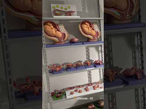 Vídeo: Nota 5 no MEC: o que significa? perguntas