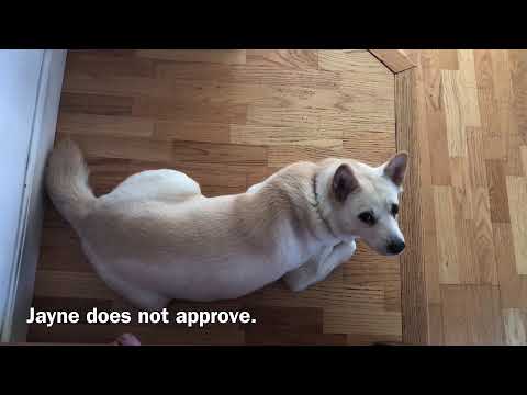 GBSゼロ Build Vlog 08.01.2020