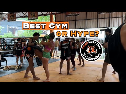 I couldn’t believe this!! Truth about training at Tiger Muay Thai as a Beginner