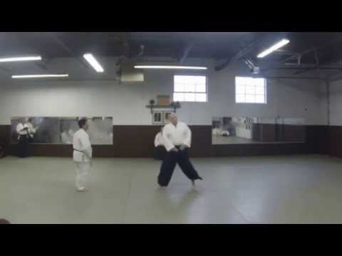 Aikido Seiryukan Demonstration January 24, 2015