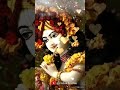 Hey Gopal Krishna Karu Aarti Teri WhatsApp Status Shorts Krishnadevotee Bhajan Krishnastatus